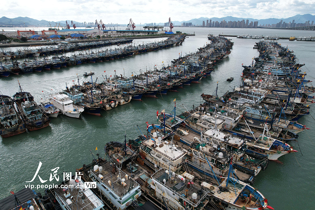 福建廈門：漁船進港人員上岸 應對臺風“樺加沙”【7】