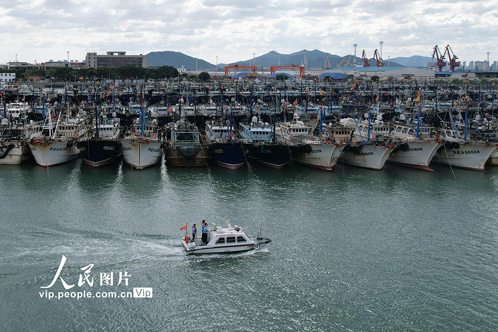 福建廈門：漁船進港人員上岸 應對臺風“樺加沙”【8】