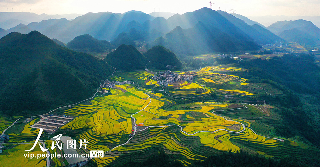 貴州龍里:梯田“鎏金” 【8】