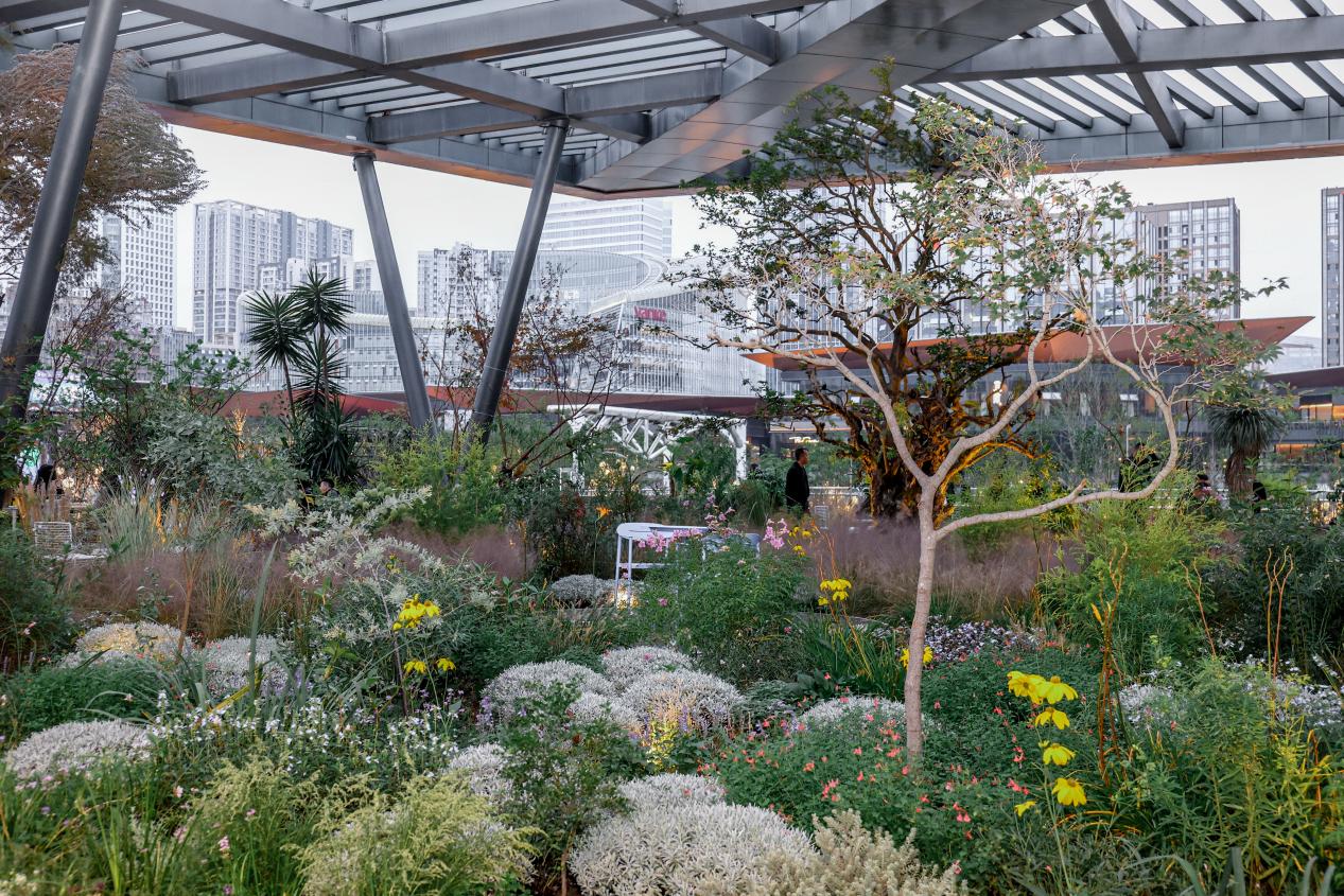 成都保利時光里的屋頂花園。伊一攝