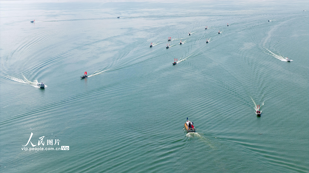 陽澄湖大閘蟹開捕【3】