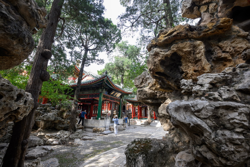 這是寧壽宮花園一角（9月29日攝）。