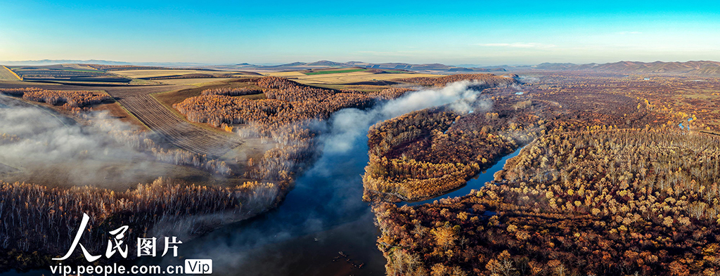 內蒙古呼倫貝爾：額爾古納濕地層林盡染【3】