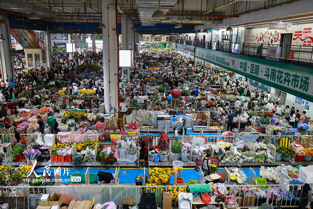 云南昆明：假期花市人氣旺【4】