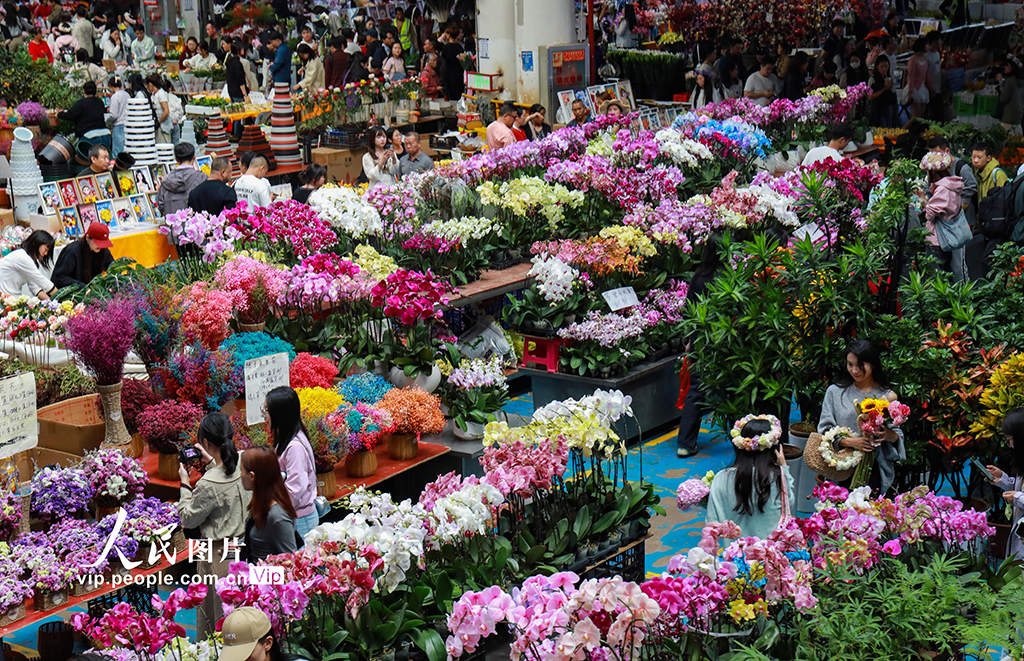 云南昆明：假期花市人氣旺