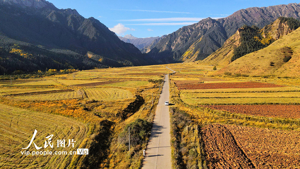 甘肅張掖:馬蹄寺秋色迷人【3】