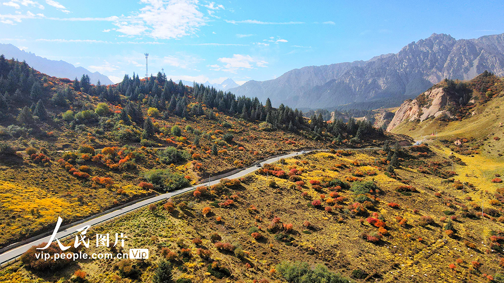 甘肅張掖：馬蹄寺秋色迷人【4】