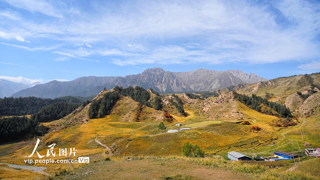 甘肅張掖:馬蹄寺秋色迷人【6】