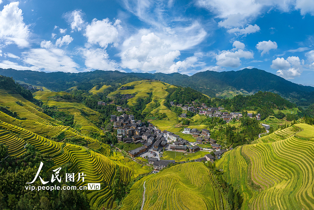廣西龍勝：龍脊梯田“豐”景如畫【2】