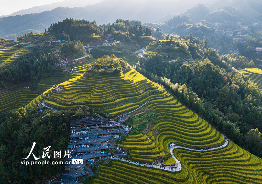 廣西龍勝：龍脊梯田“豐”景如畫【5】