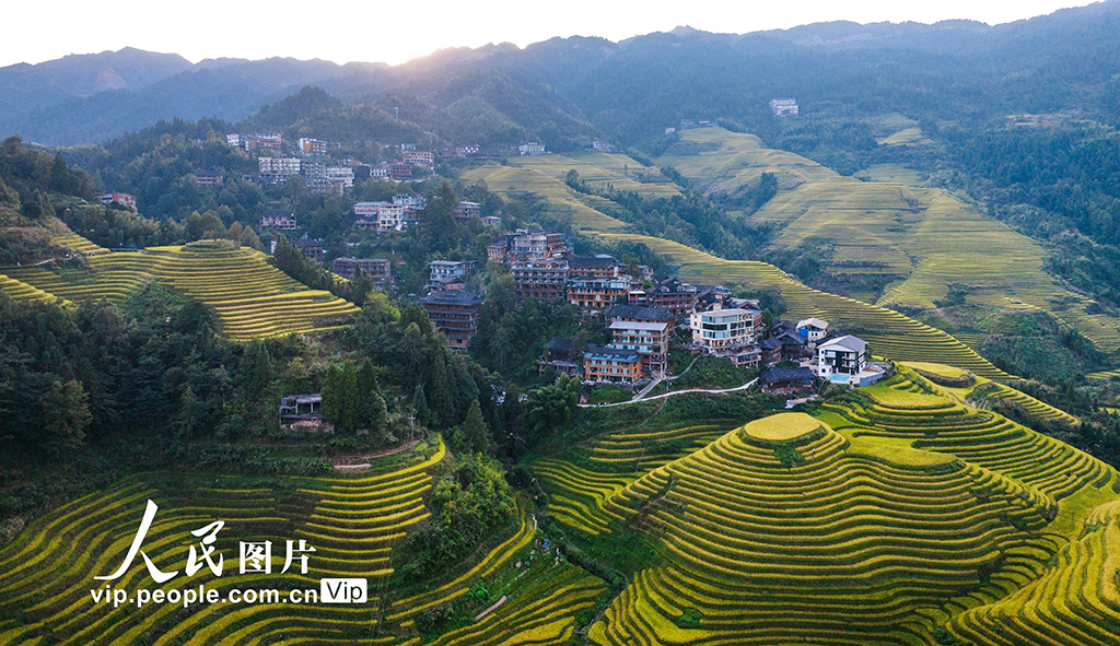 廣西龍勝：龍脊梯田“豐”景如畫【6】