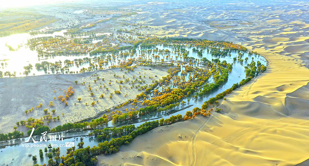 新疆尉犁：秋色如畫【2】