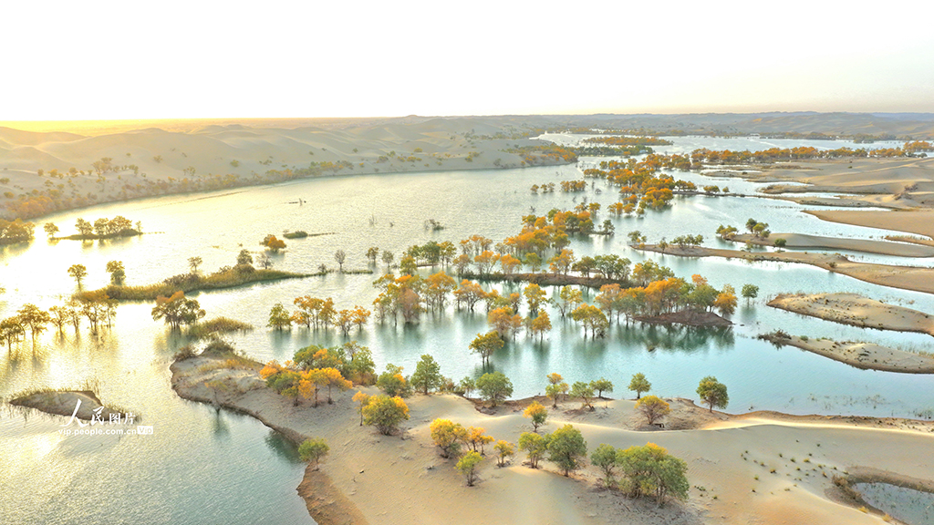 新疆尉犁：秋色如畫【4】