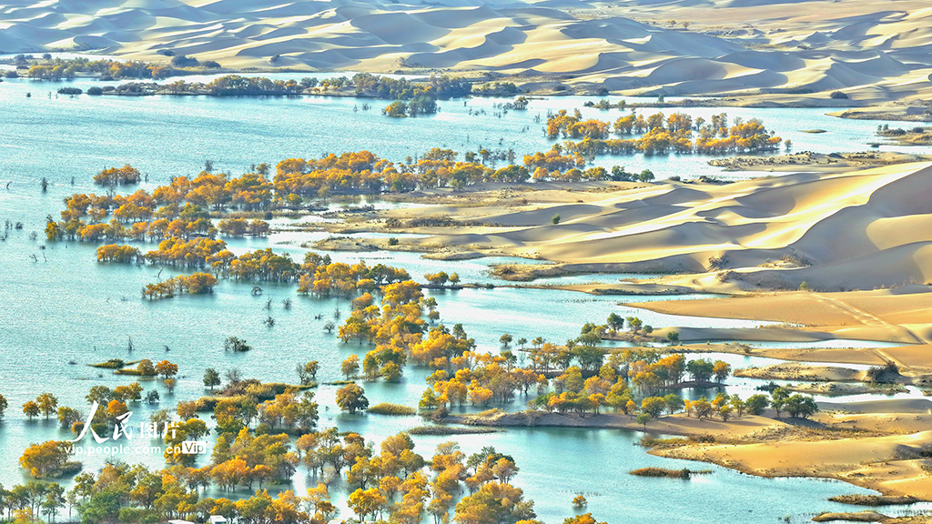 新疆尉犁：秋色如畫【5】