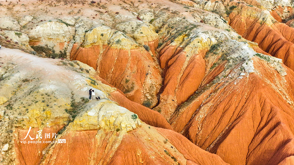 內蒙古烏蘭察布：紅崖臺地秋色美【5】