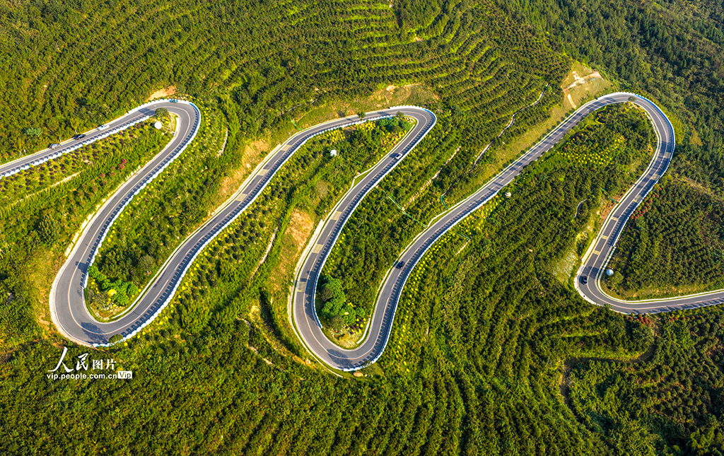 安徽廬江：山路彎彎助力鄉村振興【2】