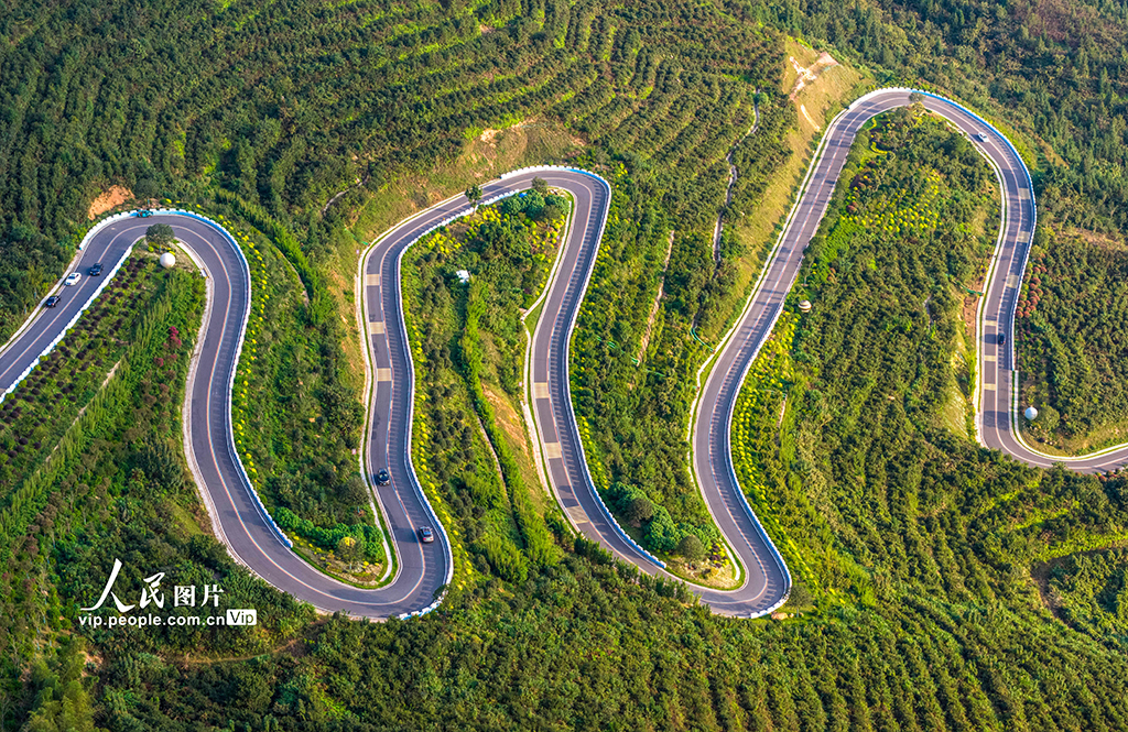 安徽廬江:山路彎彎助力鄉村振興【4】