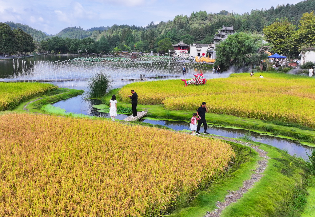 10月1日，游客在世界文化遺產地安徽黃山西遞宏村游玩（無人機照片）。新華社記者 杜宇 攝