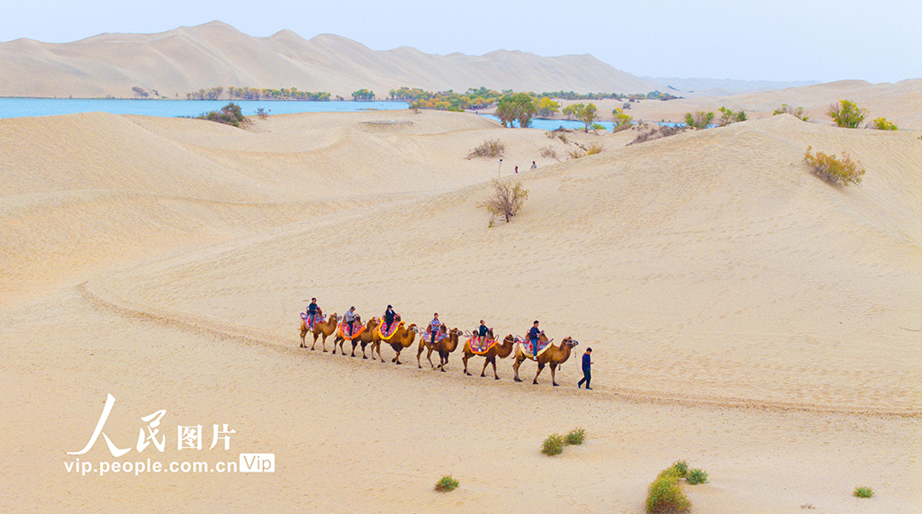 新疆尉犁:人在畫中游【3】