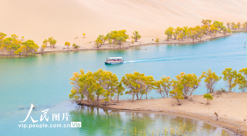 新疆尉犁:人在畫中游【4】