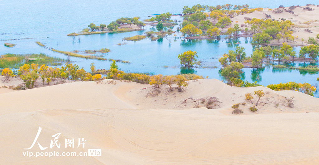 新疆尉犁:人在畫中游【7】