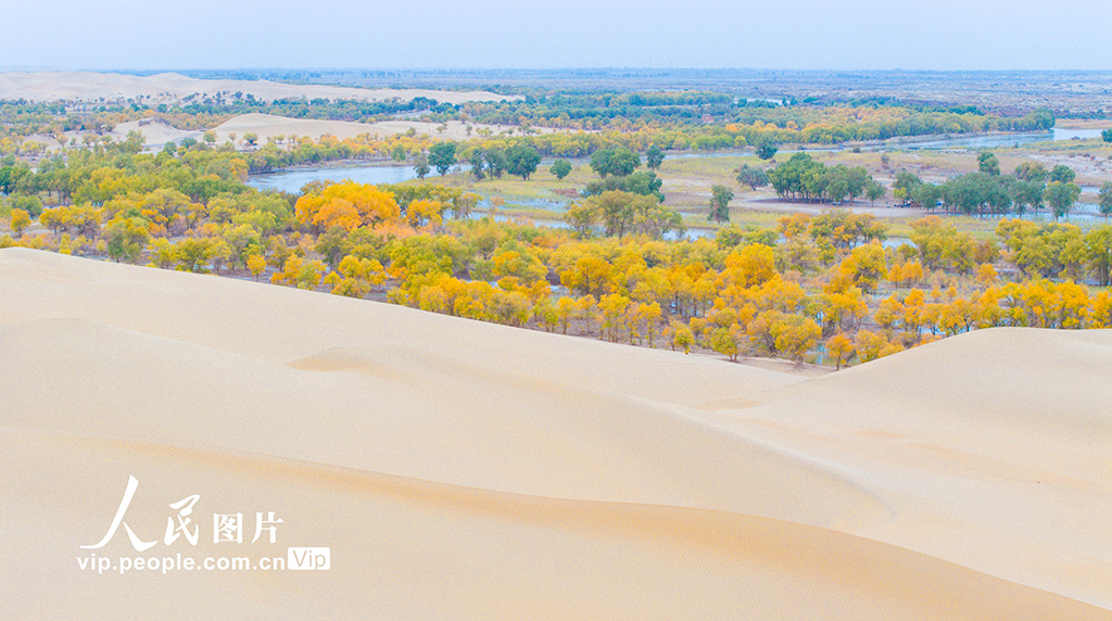 新疆尉犁:人在畫中游【8】