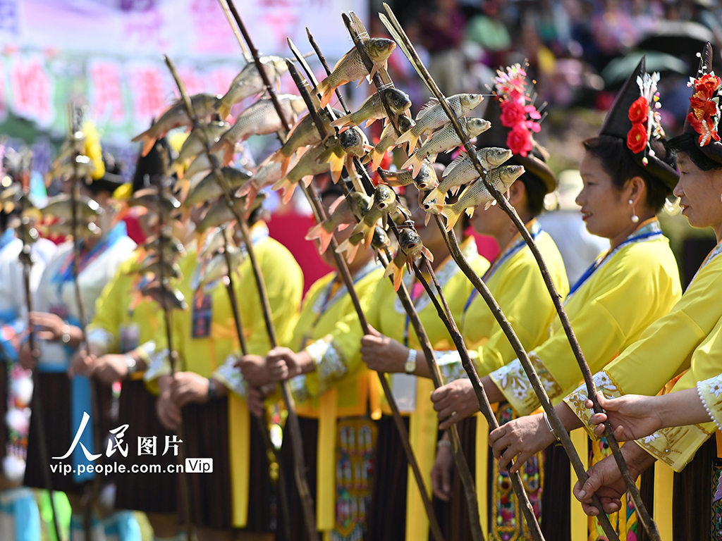 廣西融水：傳統“燒魚節”慶豐收【3】