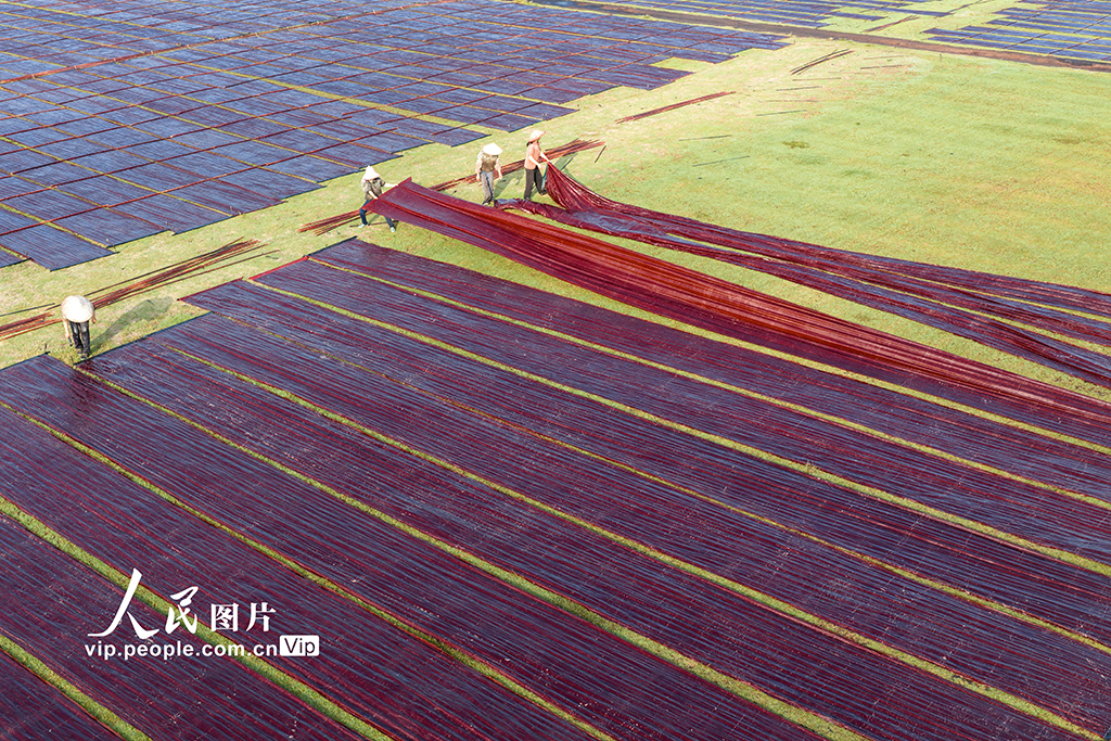 廣西蒙山:晾曬香云紗【2】