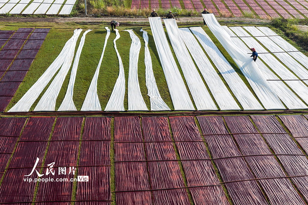 廣西蒙山:晾曬香云紗【7】