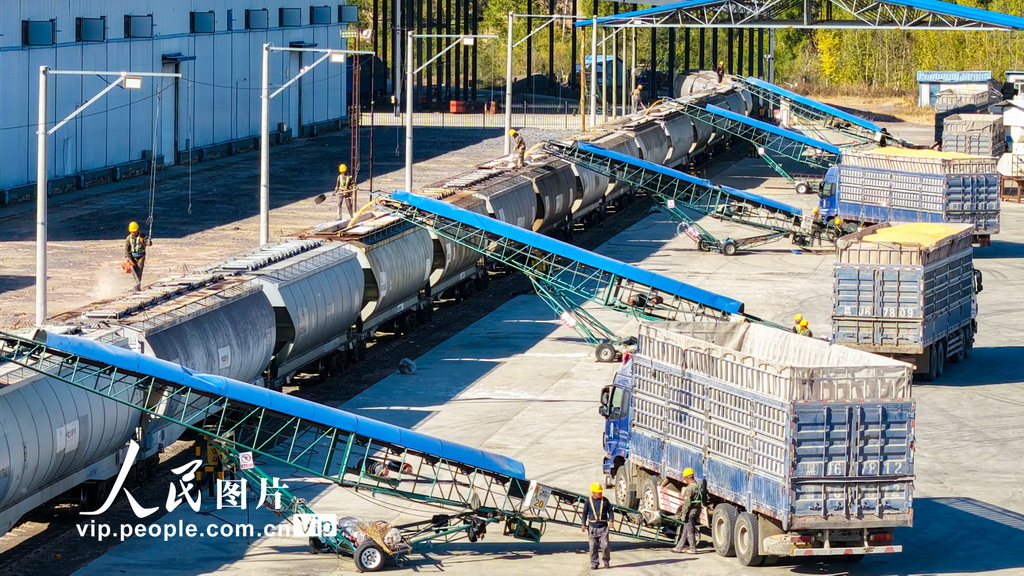 黑龍江省開行首趟糧食集港圖定直達貨運班列【3】