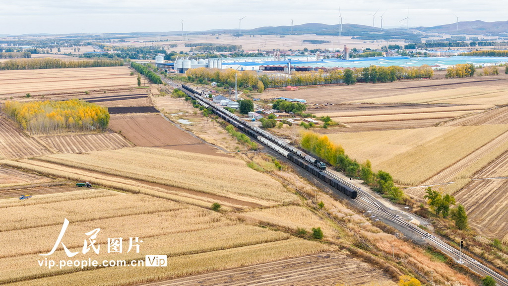 黑龍江省開行首趟糧食集港圖定直達貨運班列【5】