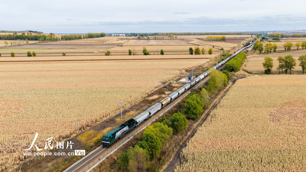 黑龍江省開行首趟糧食集港圖定直達貨運班列【2】