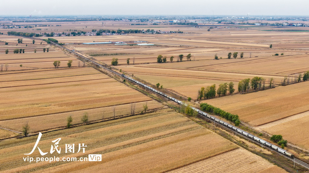 黑龍江省開行首趟糧食集港圖定直達貨運班列