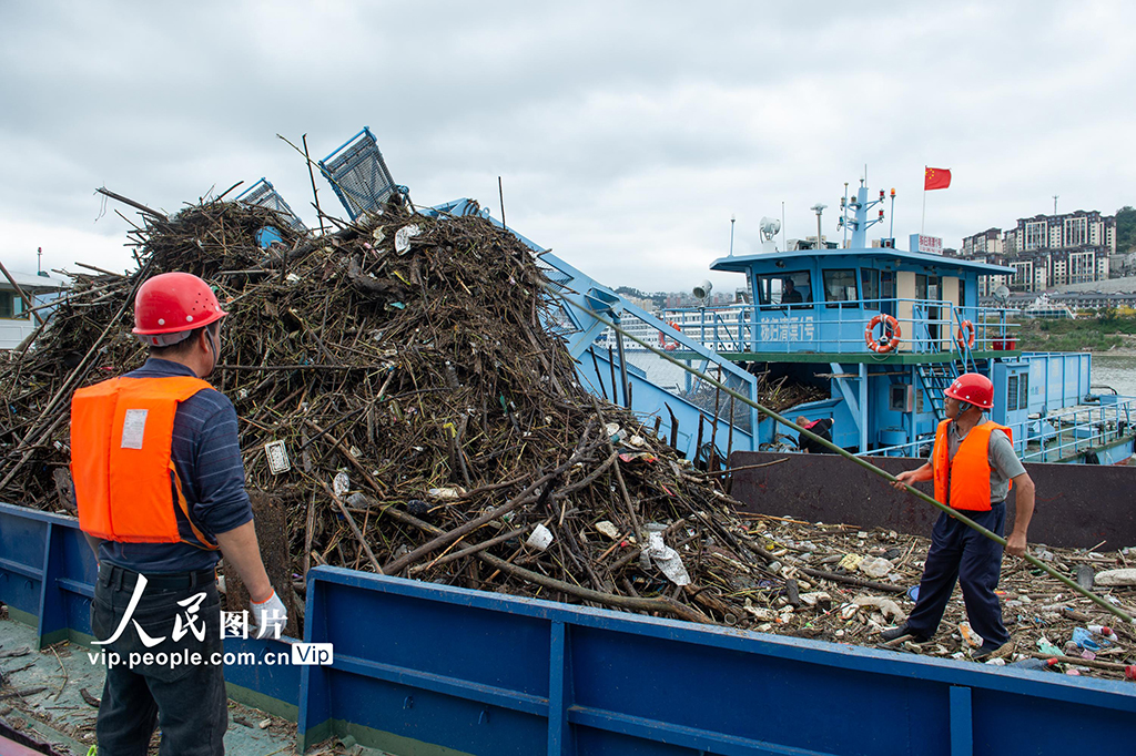 湖北秭歸：三峽清漂【4】