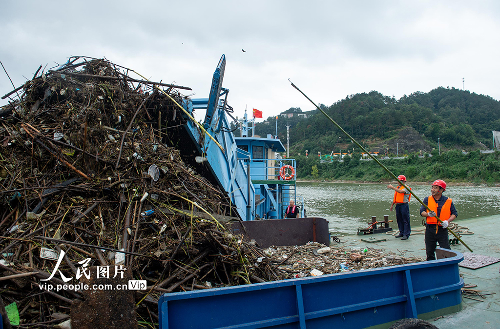 湖北秭歸：三峽清漂【5】
