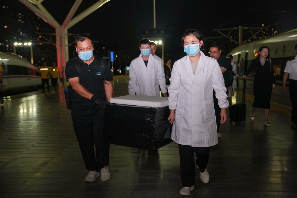 9月10日，在長沙子彈庫戰國帛書從北京運抵長沙南站后，工作人員搬運裝有長沙子彈庫戰國帛書的箱子。