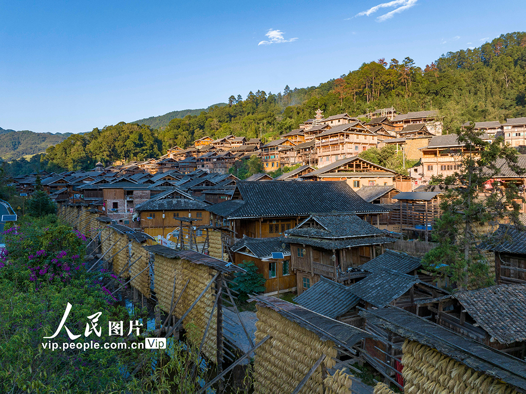 貴州從江:侗寨“曬秋”【7】