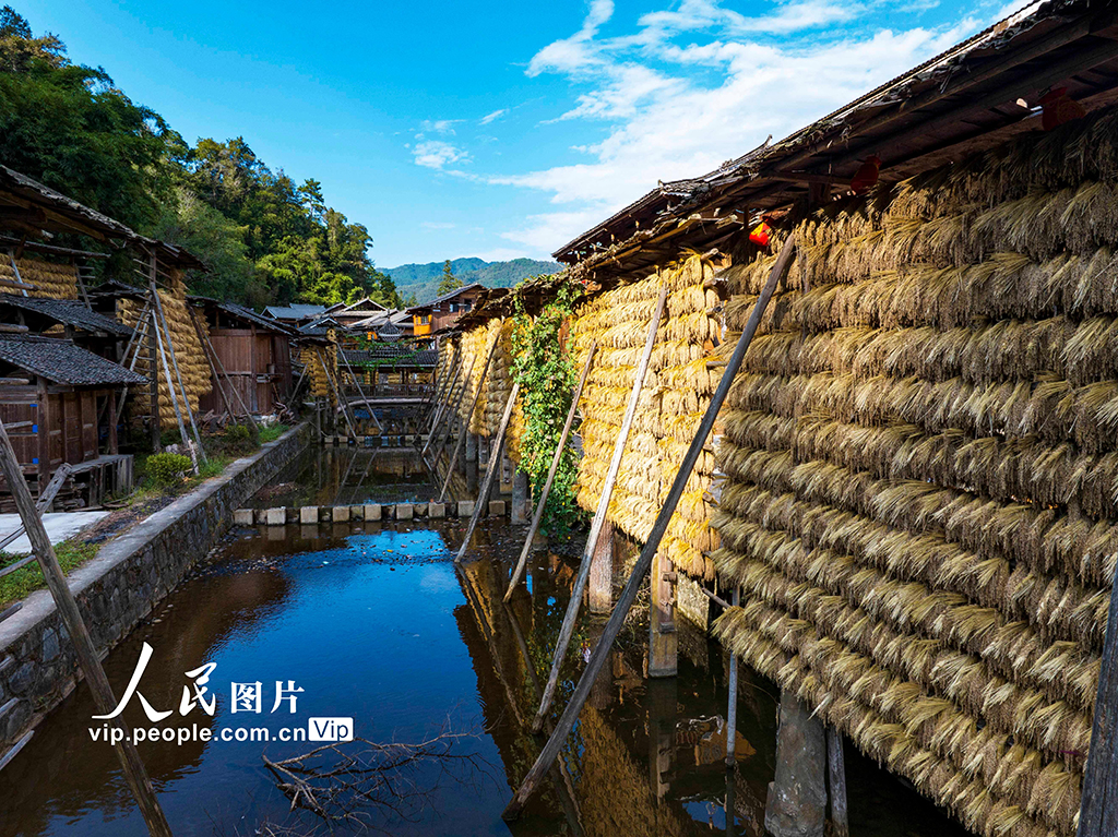 貴州從江:侗寨“曬秋”【2】