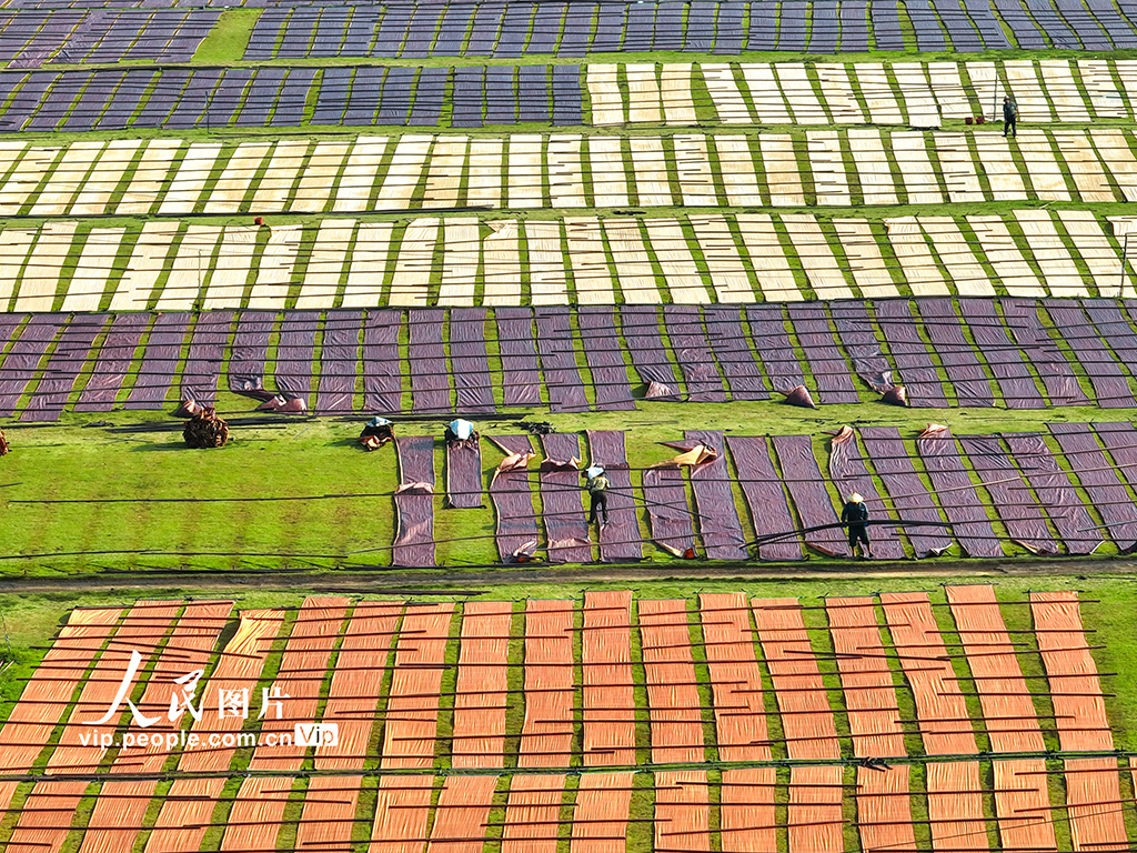 廣西蒙山:晾曬香云紗【5】