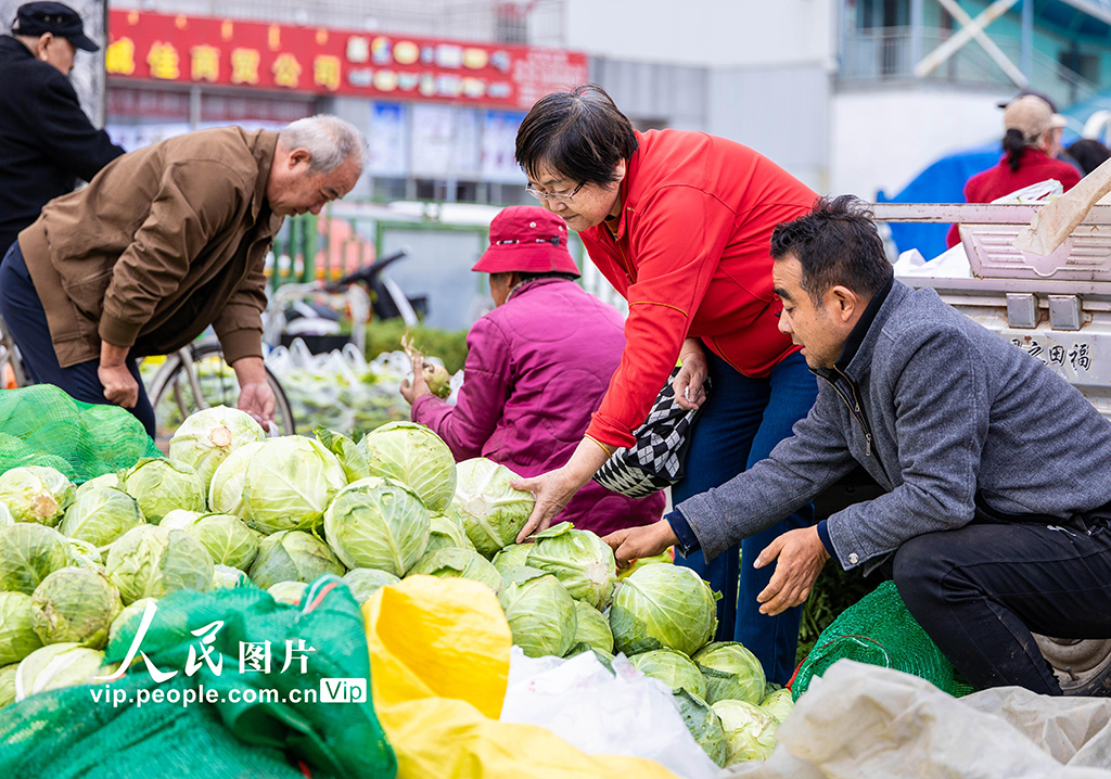 內蒙古呼和浩特：冬儲菜上市 價格親民受熱捧【2】
