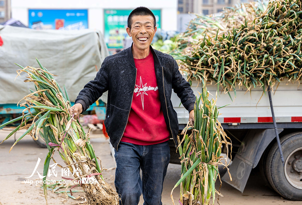 內蒙古呼和浩特：冬儲菜上市 價格親民受熱捧【4】