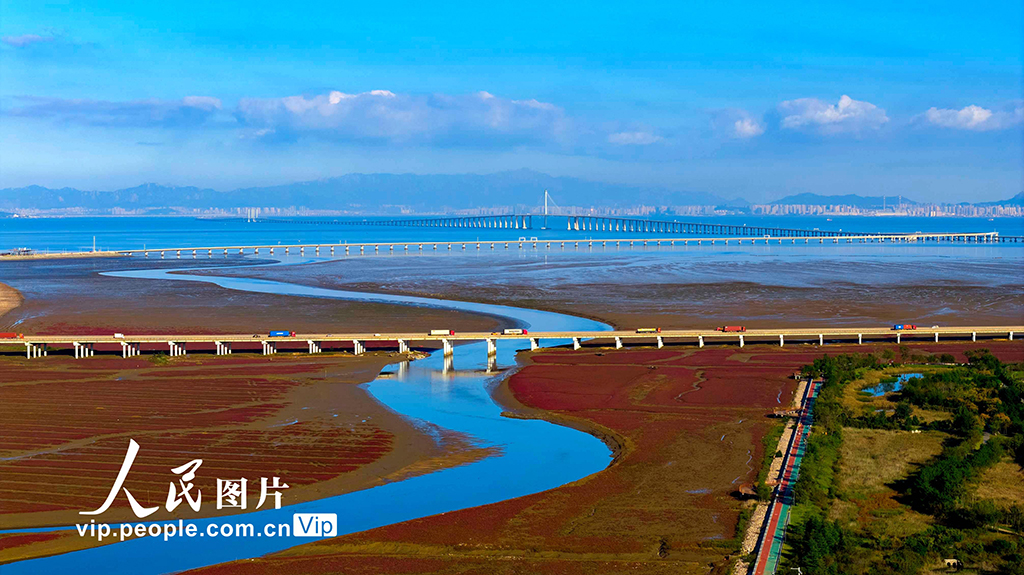 山東青島:紅海灘絢麗多彩【2】