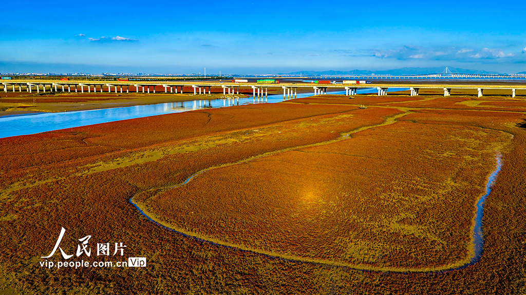 山東青島:紅海灘絢麗多彩【3】