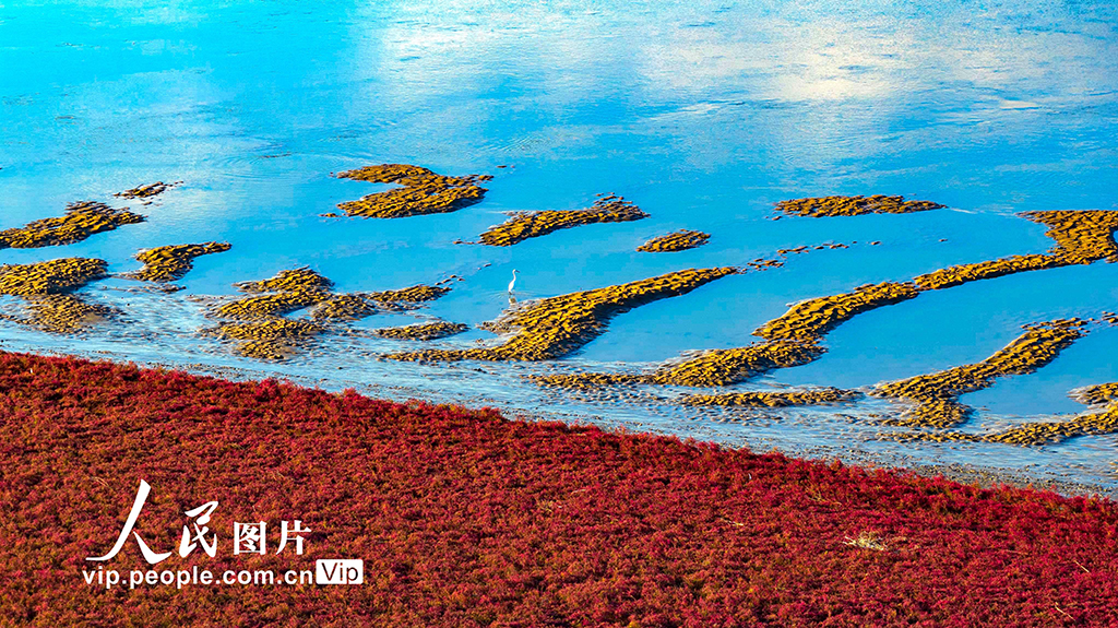山東青島:紅海灘絢麗多彩【4】