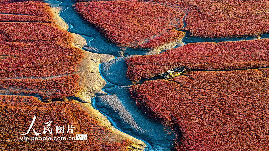 山東青島:紅海灘絢麗多彩【5】