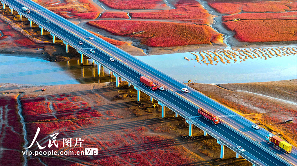 山東青島:紅海灘絢麗多彩【6】