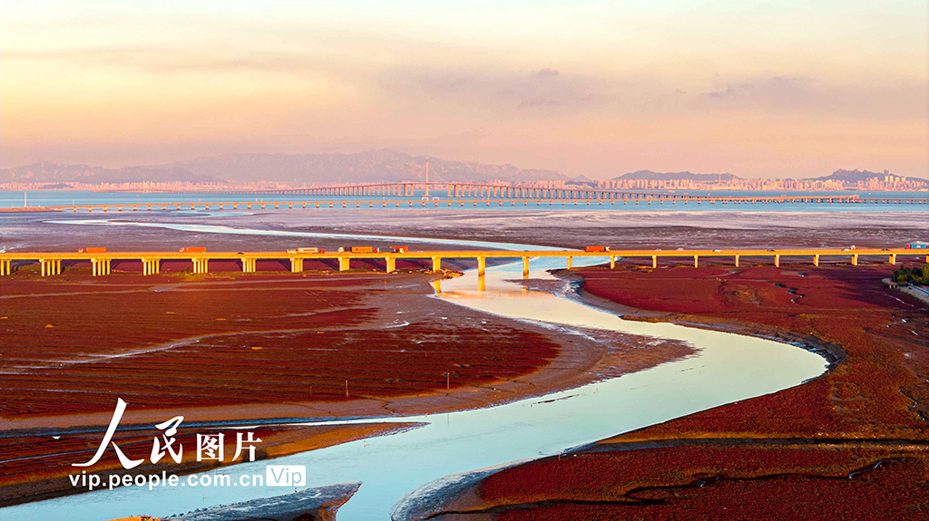 山東青島:紅海灘絢麗多彩【8】