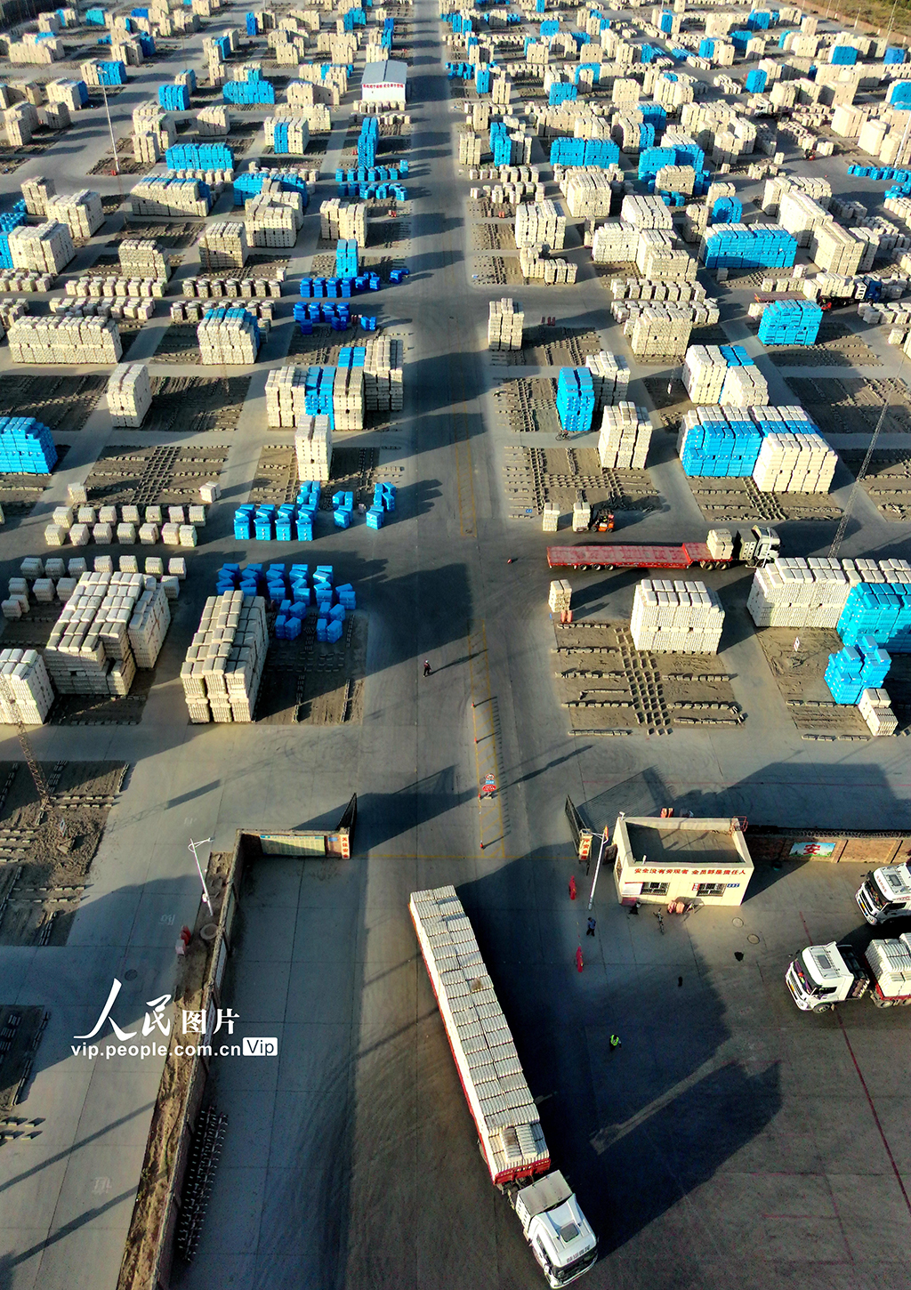 新疆阿拉爾:新棉入庫【4】