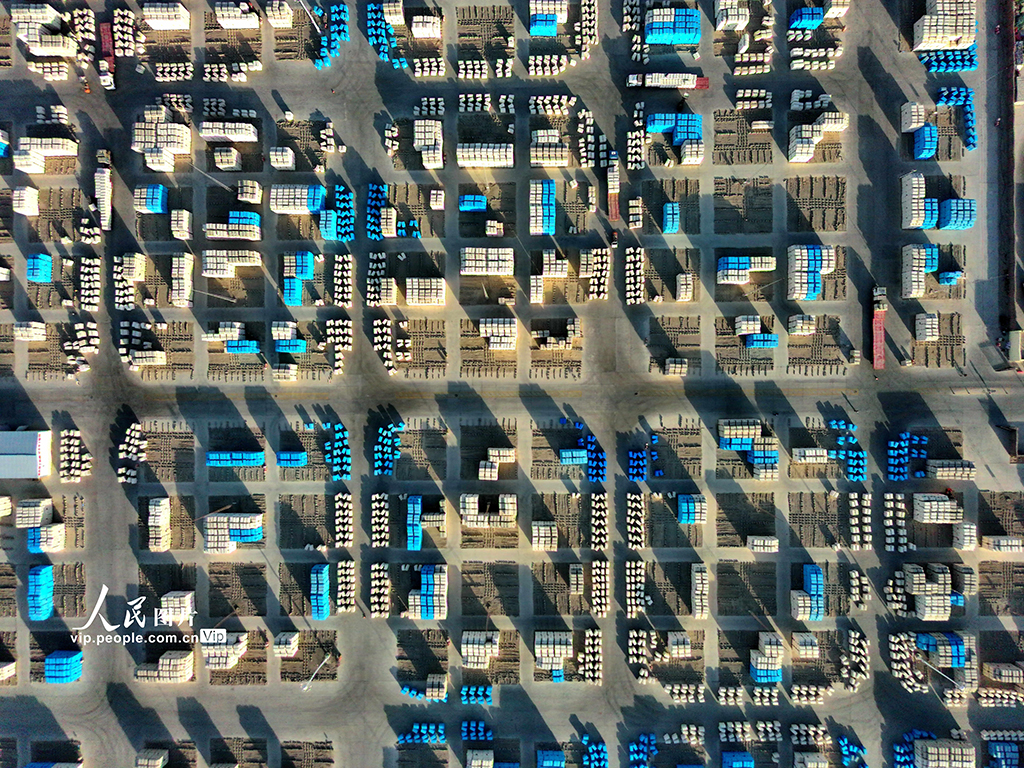 新疆阿拉爾:新棉入庫【5】