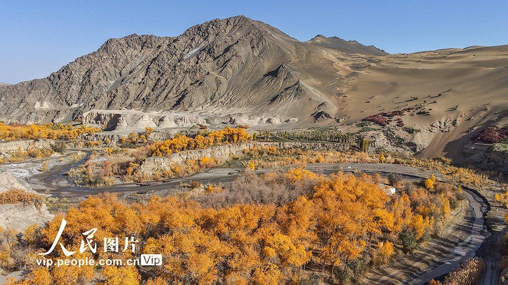 胡楊峽景區秋景如畫【3】